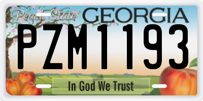 GA license plate PZM1193