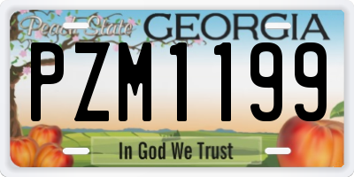 GA license plate PZM1199