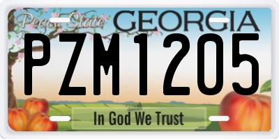 GA license plate PZM1205