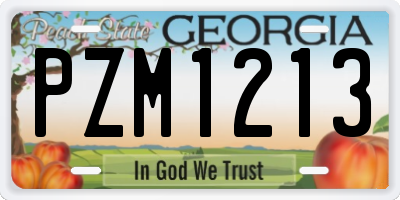 GA license plate PZM1213