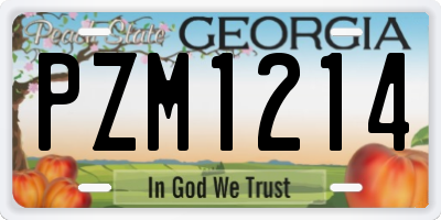 GA license plate PZM1214