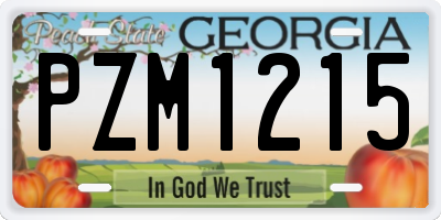 GA license plate PZM1215
