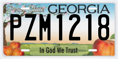 GA license plate PZM1218