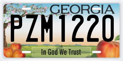 GA license plate PZM1220