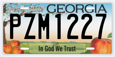 GA license plate PZM1227