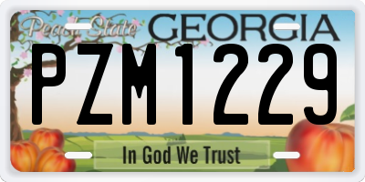 GA license plate PZM1229