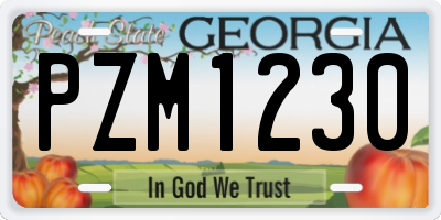 GA license plate PZM1230