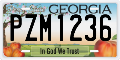 GA license plate PZM1236