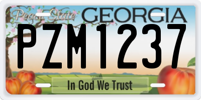 GA license plate PZM1237