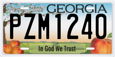 GA license plate PZM1240