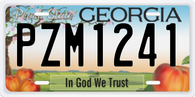 GA license plate PZM1241