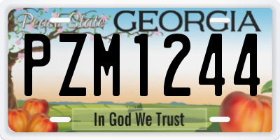 GA license plate PZM1244