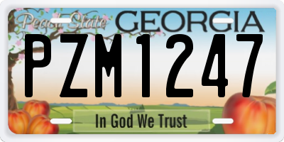 GA license plate PZM1247