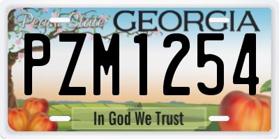 GA license plate PZM1254