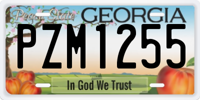 GA license plate PZM1255