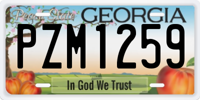 GA license plate PZM1259