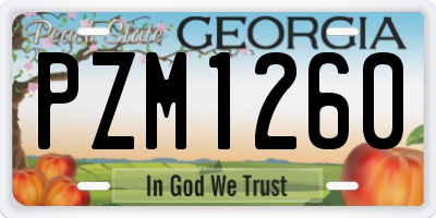 GA license plate PZM1260