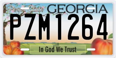 GA license plate PZM1264