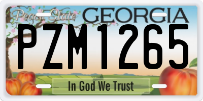 GA license plate PZM1265