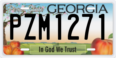 GA license plate PZM1271
