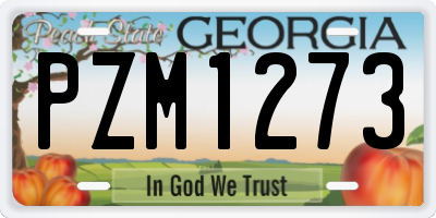 GA license plate PZM1273