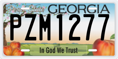 GA license plate PZM1277