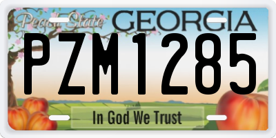 GA license plate PZM1285