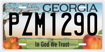 GA license plate PZM1290