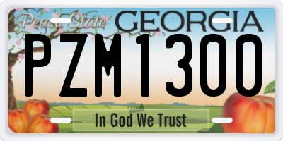 GA license plate PZM1300