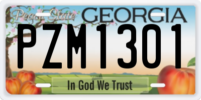 GA license plate PZM1301