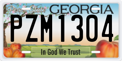 GA license plate PZM1304