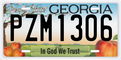 GA license plate PZM1306