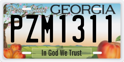 GA license plate PZM1311
