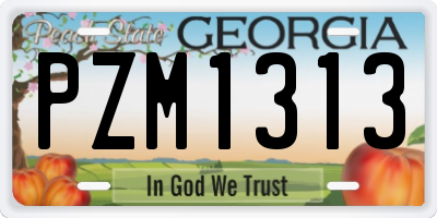 GA license plate PZM1313