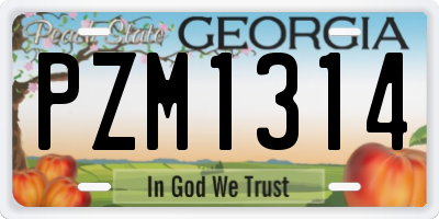 GA license plate PZM1314