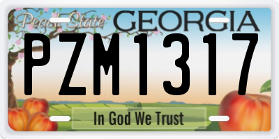 GA license plate PZM1317