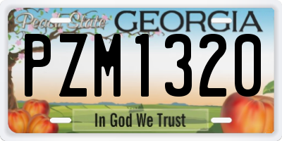 GA license plate PZM1320