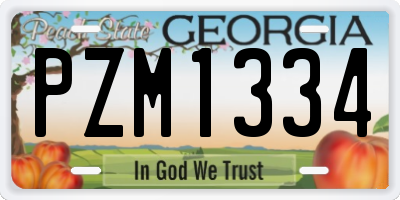 GA license plate PZM1334