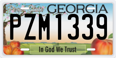GA license plate PZM1339