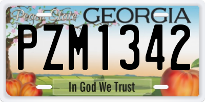 GA license plate PZM1342