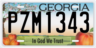 GA license plate PZM1343