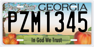 GA license plate PZM1345