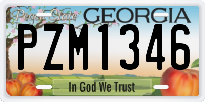 GA license plate PZM1346