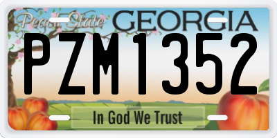 GA license plate PZM1352
