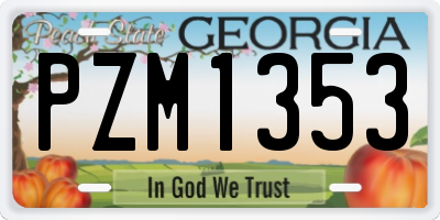 GA license plate PZM1353