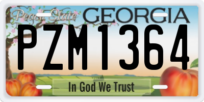 GA license plate PZM1364