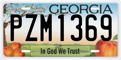 GA license plate PZM1369