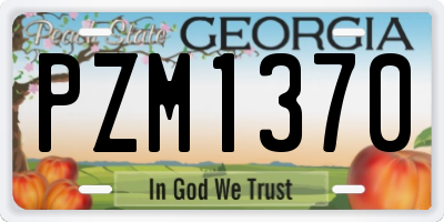 GA license plate PZM1370