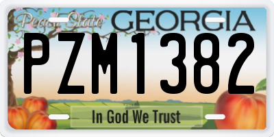 GA license plate PZM1382