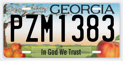 GA license plate PZM1383